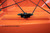 YakAttack GTSL90 GearTrac Mount, Orange, 12" - GTSL90-OR12