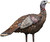 Avian X LCD Lookout Hen Turkey Standing Decoy W/ Carry Bag & Stake USED