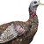 Avian X LCD Lookout Hen Turkey Standing Decoy W/ Carry Bag & Stake USED