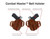 Galco Combat Master Belt Holster Colt 4 1/4" 1911 Leather CM266 Tan RH