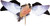 Avian-X PowerFlight Spinning Wing Dove Life-Size Motion Decoy - AVXDP102
