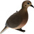 Avian X Full Body Dove Decoys 6PK 3 Resting/3 Alert - AVX-DOVE-6PK