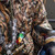 Zink Mallard Drake Whistle Detailed Carving & Easy-Blow System ZNK6056