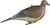 Banded GHG Mourning Dove Decoys 2Pk 1 Resting & 1 Perching Lifelike