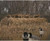 Avery RealGrass Camouflage Mats 4-Pack Palm Grass Panels Natural 4Pk Box