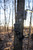 Stealth Cam Fusion Max 2.0 Cellular Trail Camera Kit w/ SOLPAK 3,000 mAh