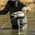 Avian-X Power Swimmer Mallard Drake Motion Duck Decoy - AVX-PSW-MDLH