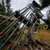 Victory Archery VAP TKO 0.166" 300 Spine Arrow Vane Fletched 6Pk Sport .006