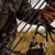 Victory Archery RIP 0.204" Arrows Sport 400 12 Pack Bare Shafts 0.006