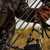 Victory Archery RIP .204" 400 Spine Arrow Vane Fletched 6Pk Gamer .003