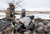 Higdon Pulsator PRO Mallard Drake Decoy Compat. Fresh/Salt/Brackish Water