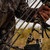 Victory Archery RIP 0.204" Arrows Elite 400 12Pk Bare Shafts 0.001 GPI:7.5