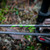 Victory Archery RIP XV .204" 350 Arrow Fletched 6Pk Gamer .003 GPI:6.4