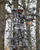 King's Camo Hunter 2.0 Pant Lightweight Color KC Ultra Size R-36