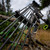 Victory Archery VAP TKO 0.166" Arrows Gamer 400 12 Pack Bare Shafts 0.003