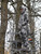 King's Camo Men's Hunter Wind-Defender Pro Fleece Jacket XK7 3X-Large