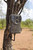 HME Trail Camera Holder Quick Mount (3 Pack) Compact Sturdy Design Black