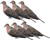 GHG Pro-Grade Series Silhouette Mourning Dove Decoys W/ Clips 6Pk 77012