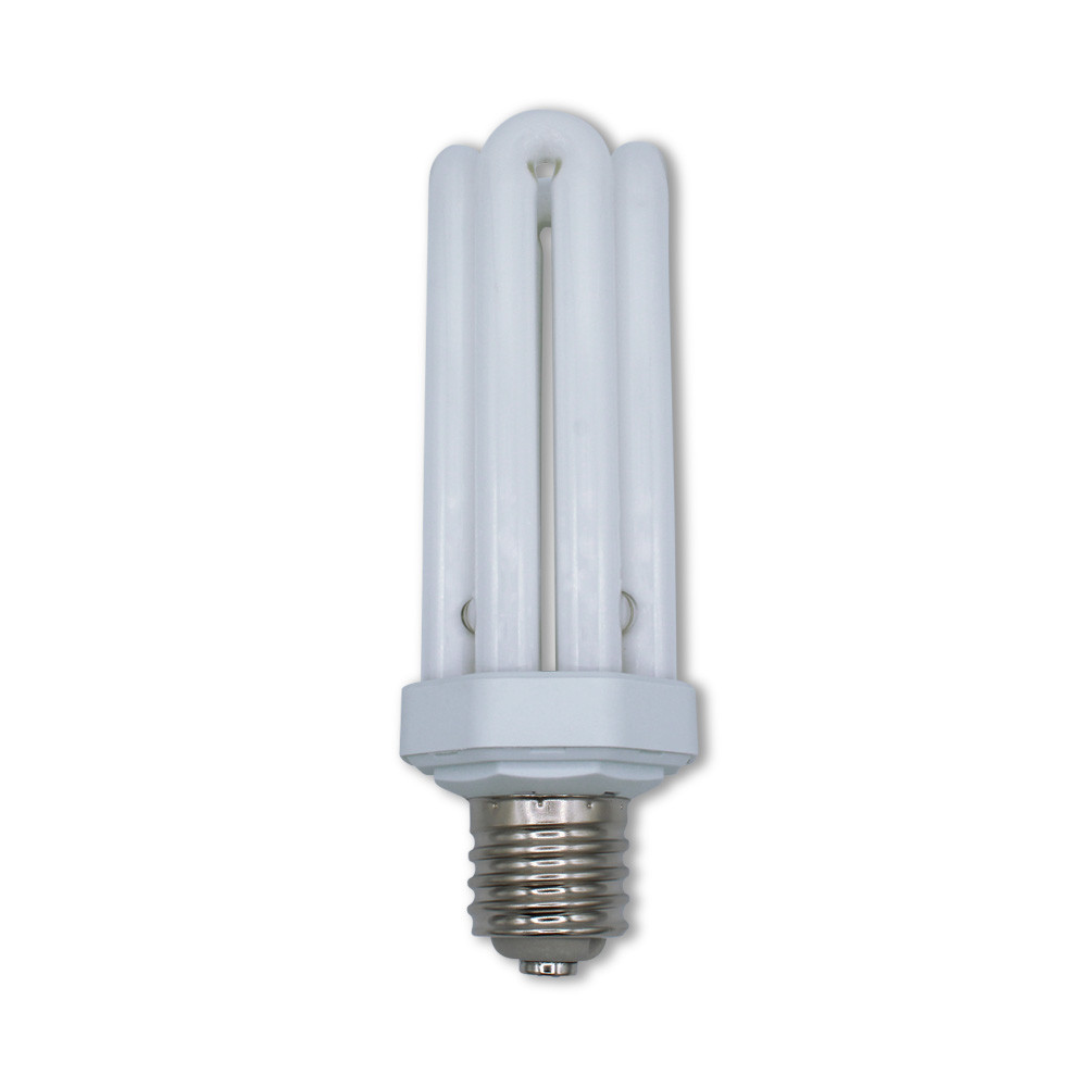 LIGHTS OF AMERICA 9166B Replacement - 65W High Output CFL