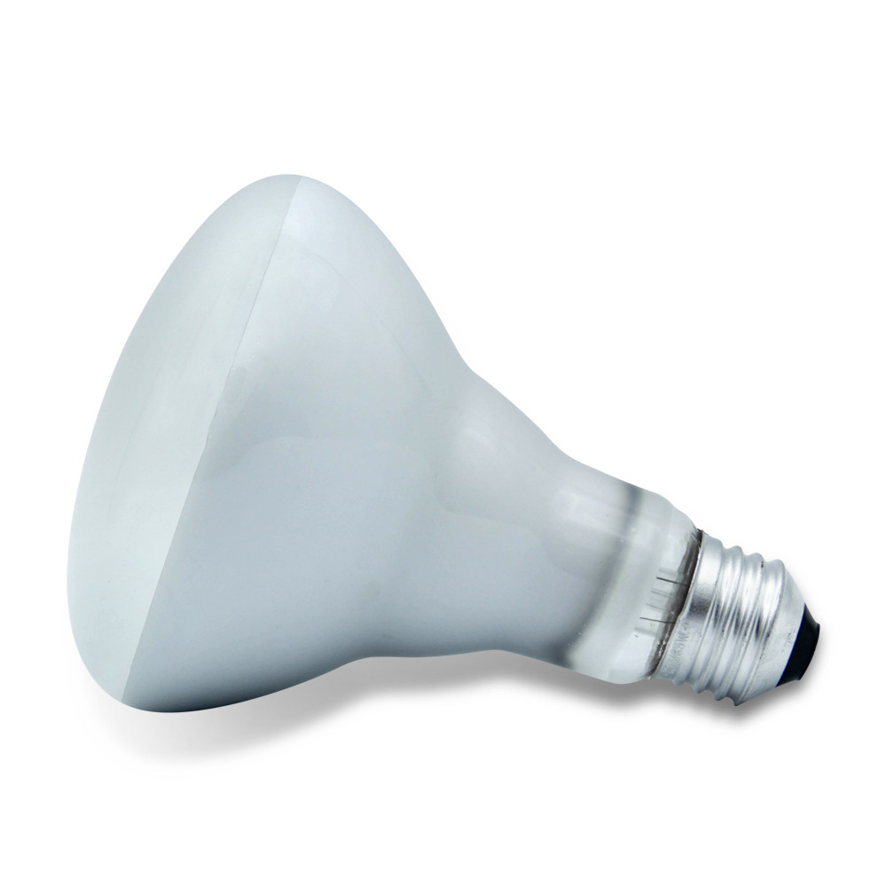 GE 75R30/FL/65WM Replacement - 65W R30 Flood Light