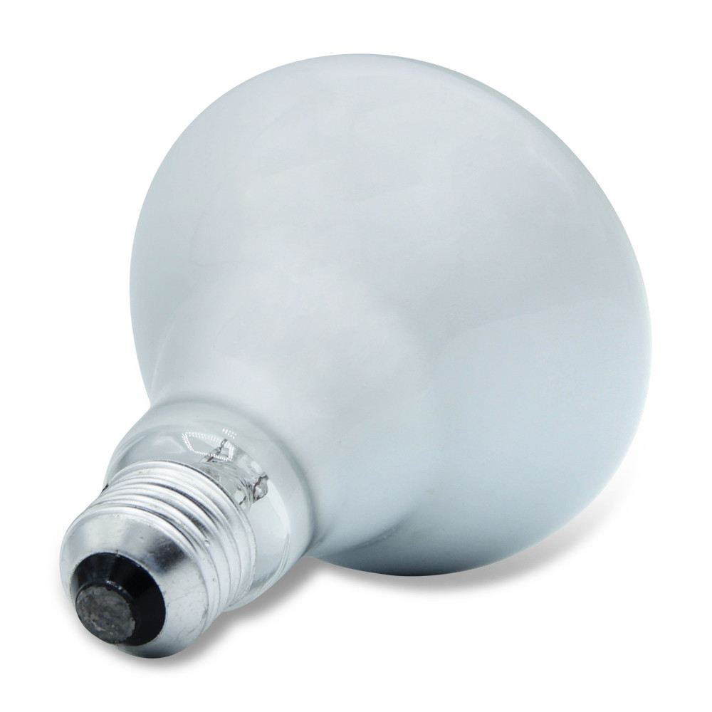 GE 75R30/FL/65WM Replacement - 65W R30 Flood Light