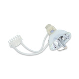 CARLEY 70079