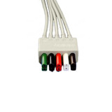 Replacement ECG for 0010-30-42729