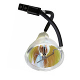 1664246 Replacement Lamp Module for UV Wand System