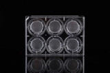 6 Cell Culture Inserts and 6 Well Plate 3.0 m PET Membrane Translucent TC Sterile 6 pk 24 cs Replacement