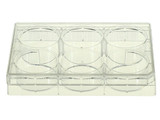 6 Well Cell Culture Plate flat TC sterile Bulk 10 pk 50 cs Replacement