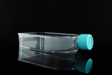 150cm 2 U-Shaped Canted Neck Cell Culture Flask Plug Seal Cap Non-Treated sterile 5 pk 40 cs