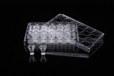 12 Cell Culture Inserts and 24 Well Plate 0.4 m PET Membrane Opaque Non-Treated Sterile 12 pk 48 cs Replacement