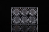6 Cell Culture Inserts and 6 Well Plate 8.0 m PC Membrane Translucent Non-Treated Replacement