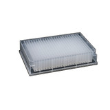 240 ul 384 well Deep Well Plates V Bottom Square Well Sterile 5 pk 50 cs