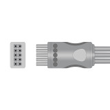 Replacement ECG for Mindray Datascope DPM6 - Medical Monitoring
