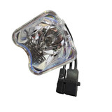 Replacement Light Bulb for IN-0V0F8 Microscope Lighting - 130-200W Wattage