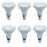 Interlight IN-04471 Replacement Incandescent BR30 65W