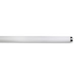 BASE: G13  MEDIUM 2 PIN  13MM CENTER-TO-CENTER - BULBSHAPE: T12 - COLORTEMP: 3500 - CRI: 70 - LIFE: 18000 - LUMENS: 2250 - MOLIN: 36 - WATTS: 30
