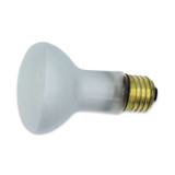 Replacement Bulb for Philips 45R20/LL | 45W R20 Flood | Long Life | 2-Pack