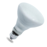 Replacement Bulb for Philips 65BR30/FL55 SP | 65W BR30 Flood | 130V