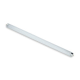 BASE: G13  MEDIUM 2 PIN  13MM CENTER-TO-CENTER - BULBSHAPE: T8 - COLORTEMP: 6500 - LIFE: 7500 - LUMENS: 700 - MOLIN: 18 - WATTS: 15