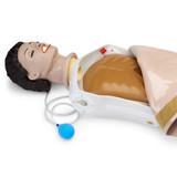 Interlight AED LF03994 Replacement Medical Training Manikin Part