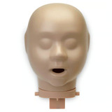 Head Manikin Medical Training Anatomical Model Simulator Replacement