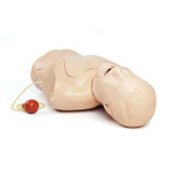 AED 375-10001 Replacement Medical Manikin Training Simulation Device