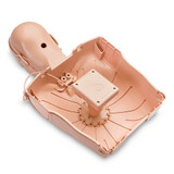 ULM-100M Medical Manikin Training Simulation Mannequin