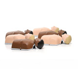 Laerdal Little Anne Combo 6 Pack