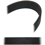 ARGOSY YEAR 2004 SERPENTINE BELT