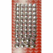 379 YEAR 2003 FRAME RAIL NUT COVER KIT