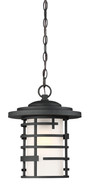 Lansing 1 Light Outdoor Hanging Lantern with Etched Glass Replacement