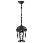 1 Light Outdoor Hanging Fixture LED SMART Starfish RGBTW CCT Select Matte Black Clear Water Glass Replacement
